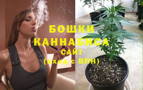 трава Сосновоборск