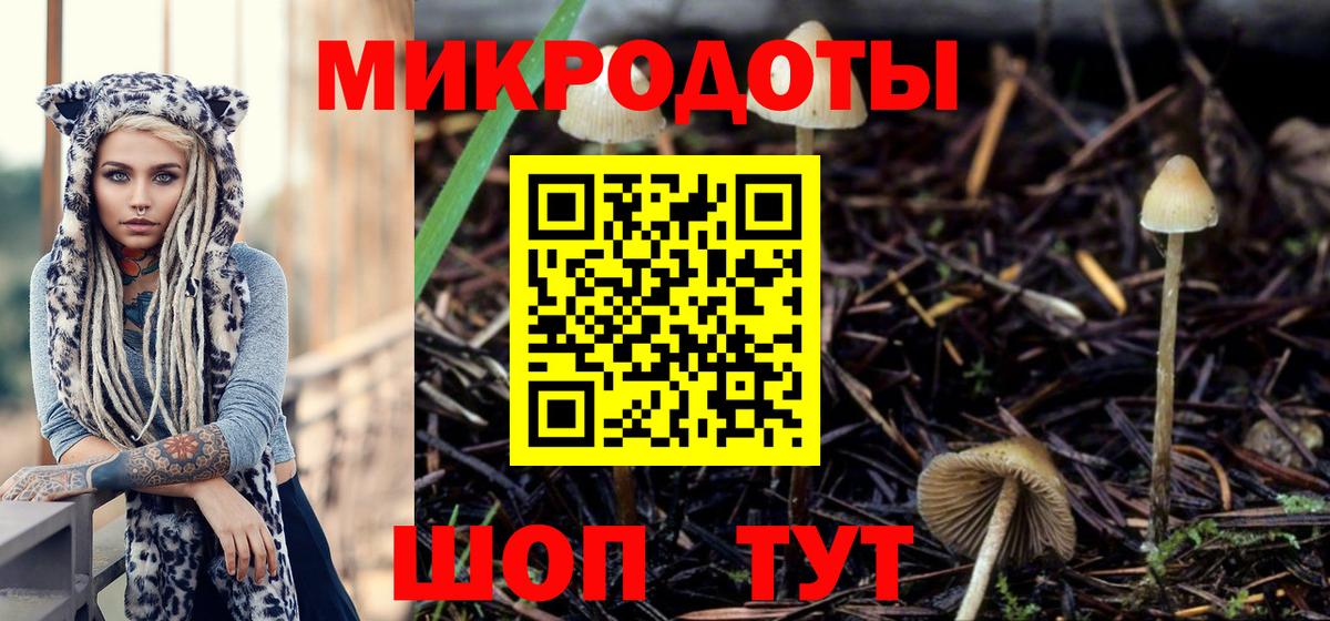 Галлюциногенные грибы прущие грибы  Псилоцибиновые грибы прущие грибы  Вход с VPN  Каменка 
