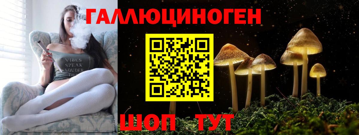 Галлюциногенные грибы Cubensis Каменка