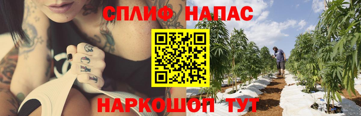 Каннабис White Widow Каменка